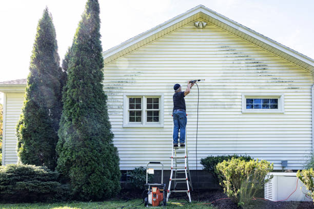 Local Pressure Washing Services in Cleary, MS