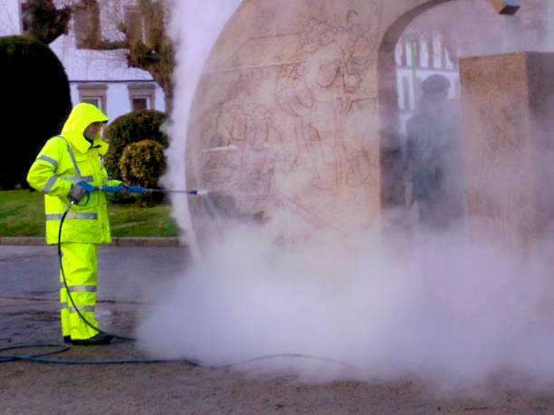 Best Power Washing Near Me  in Cleary, MS
